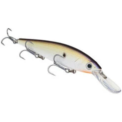 Strike King - Pluggen KVD Deep 300 Jerkbait - 12cm - 17gr -Kwaliteitswinkel Voor Visuitrusting 1541468642