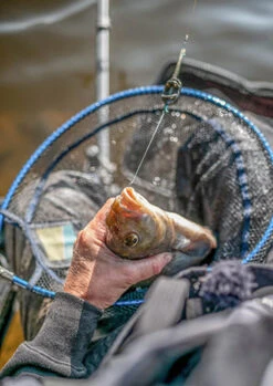 Preston - Schepnet Free Flow Landing Net - Preston -Kwaliteitswinkel Voor Visuitrusting 1810100136