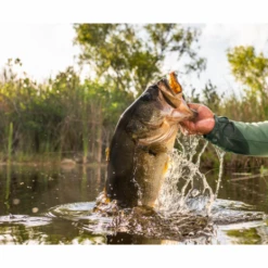 Savage Gear - Kunstaas Hop Walker Frog 5,5cm 15g - Savage Gear -Kwaliteitswinkel Voor Visuitrusting 1866648381