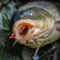 Korum - Haken Grappler Barbed - Korum 7 Korum - Haken Grappler Barbed - Korum -Kwaliteitswinkel Voor Visuitrusting 1944874725