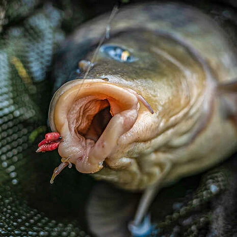 Korum - Haken Grappler Barbed - Korum 5 Korum - Haken Grappler Barbed - Korum - Afbeelding 3